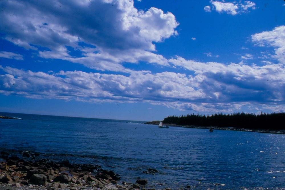 원화랑 전시 및 정찬승 외 지인과 함께 촬영한 슬라이드 필름