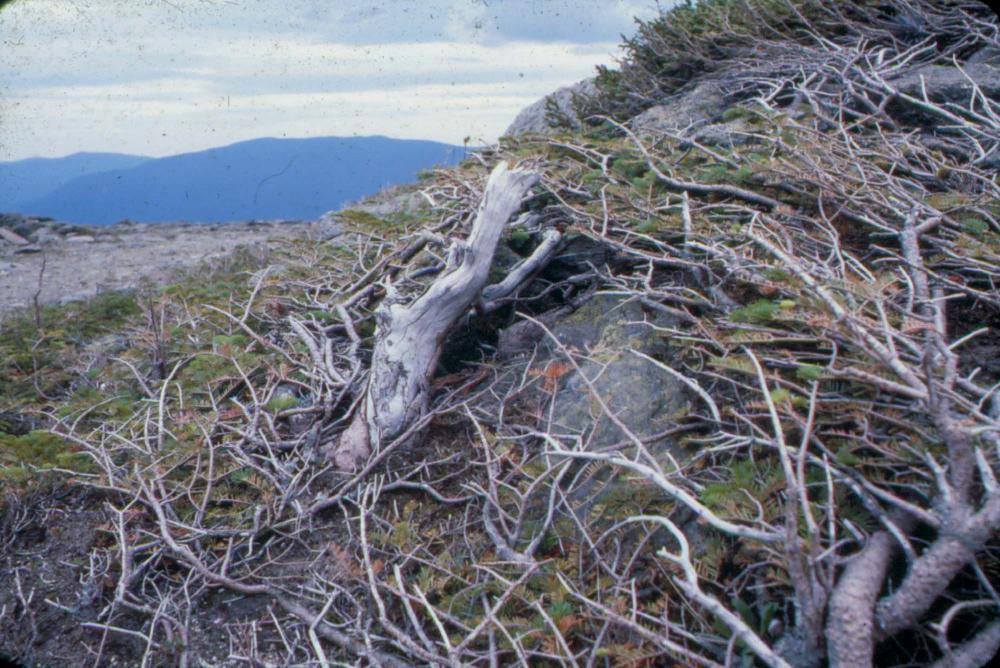 원화랑 전시 및 정찬승 외 지인과 함께 촬영한 슬라이드 필름