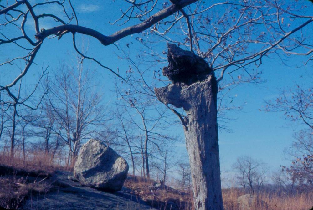 원화랑 전시 및 정찬승 외 지인과 함께 촬영한 슬라이드 필름