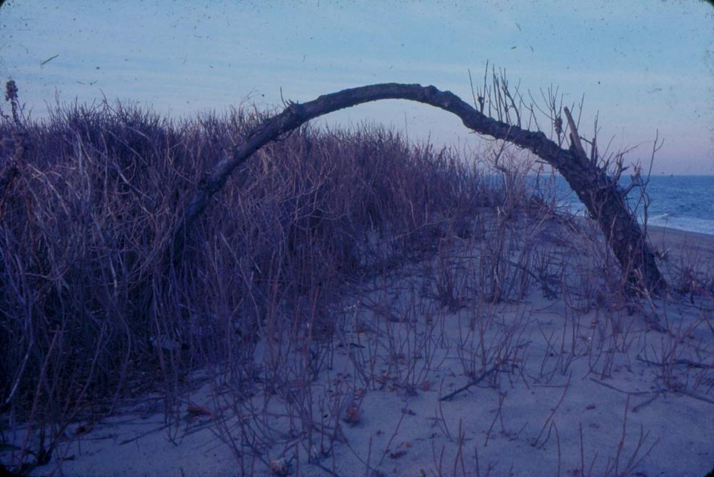 원화랑 전시 및 정찬승 외 지인과 함께 촬영한 슬라이드 필름