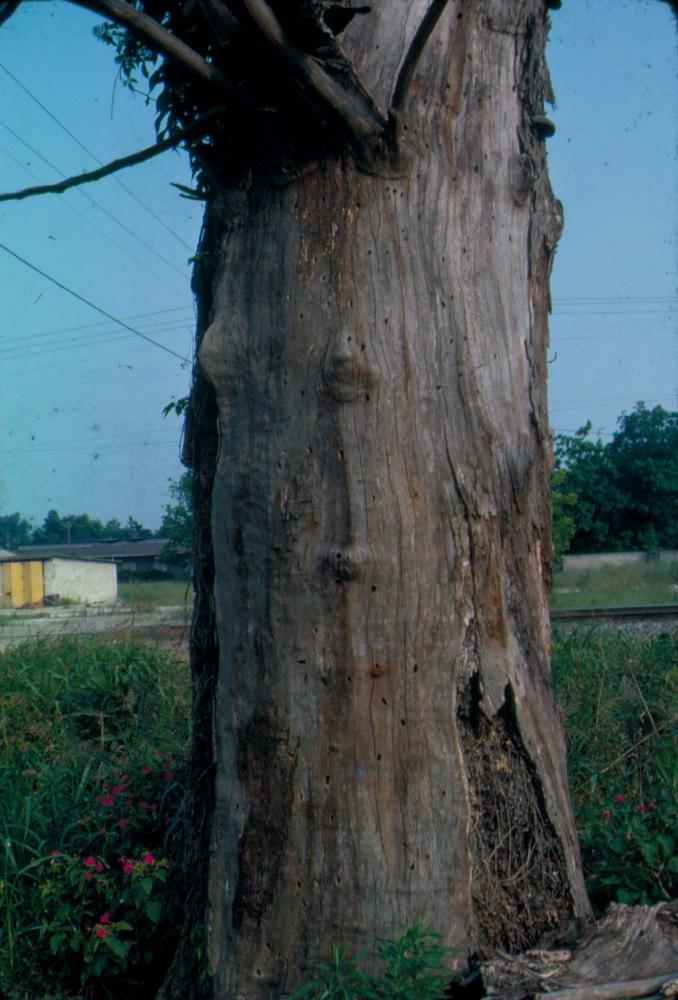 원화랑 전시 및 정찬승 외 지인과 함께 촬영한 슬라이드 필름