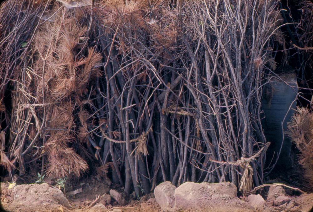 원화랑 전시 및 정찬승 외 지인과 함께 촬영한 슬라이드 필름