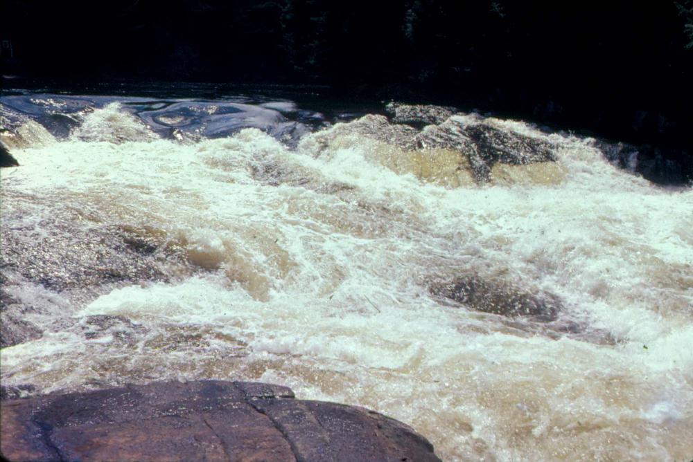 원화랑 전시 및 정찬승 외 지인과 함께 촬영한 슬라이드 필름