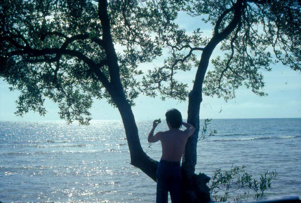 원화랑 전시 및 정찬승 외 지인과 함께 촬영한 슬라이드 필름