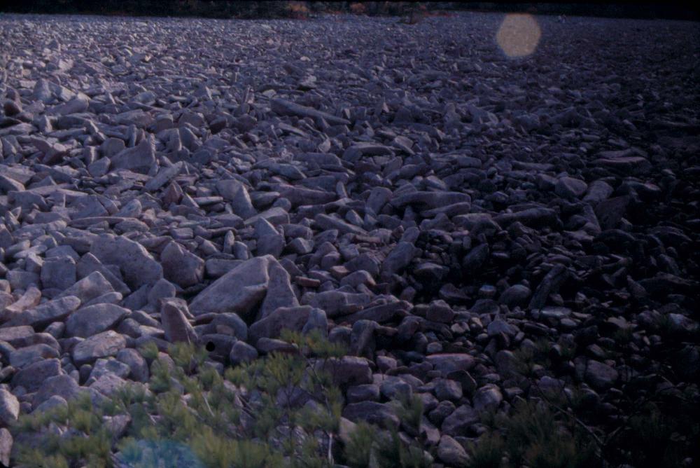 원화랑 전시 및 정찬승 외 지인과 함께 촬영한 슬라이드 필름