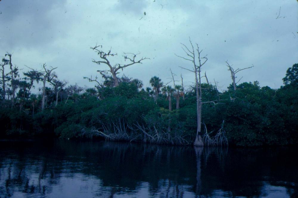 원화랑 전시 및 정찬승 외 지인과 함께 촬영한 슬라이드 필름