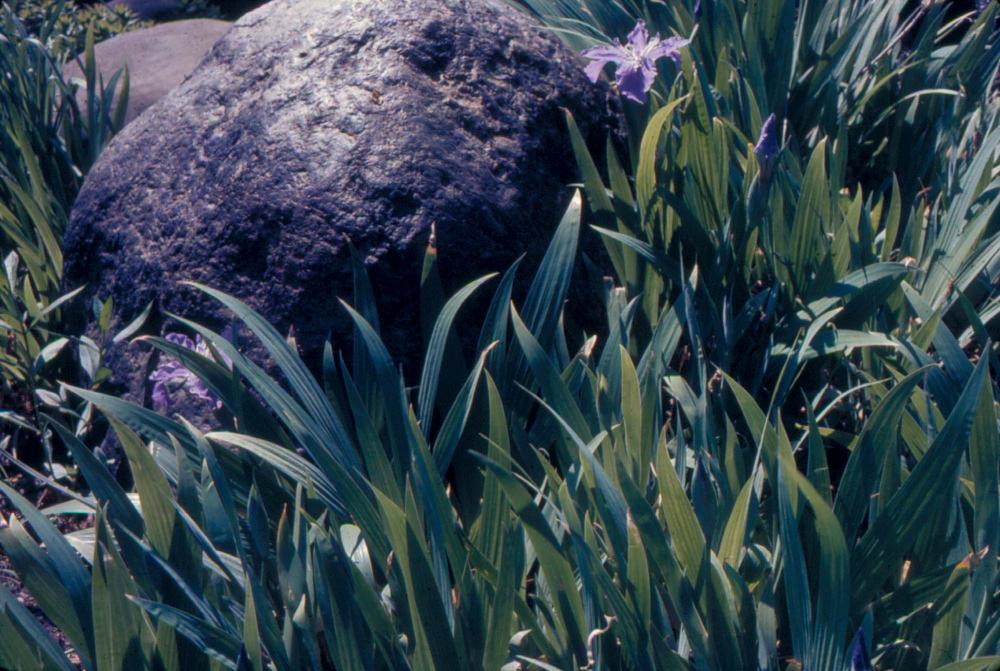 원화랑 전시 및 정찬승 외 지인과 함께 촬영한 슬라이드 필름