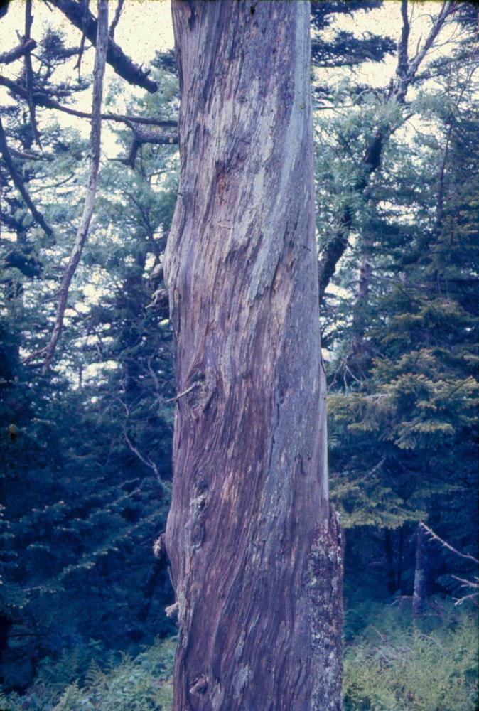 원화랑 전시 및 정찬승 외 지인과 함께 촬영한 슬라이드 필름
