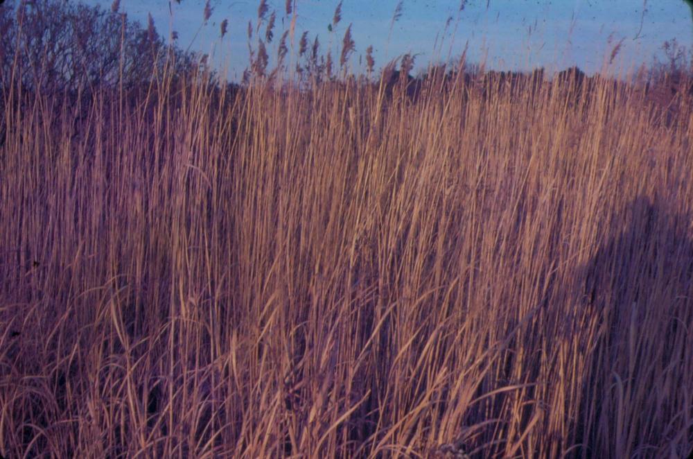 원화랑 전시 및 정찬승 외 지인과 함께 촬영한 슬라이드 필름