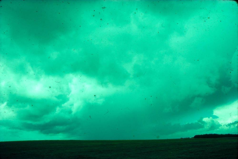 원화랑 전시 및 정찬승 외 지인과 함께 촬영한 슬라이드 필름