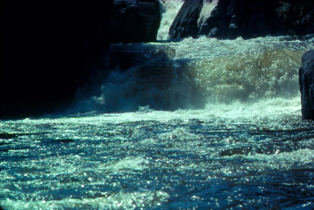 원화랑 전시 및 정찬승 외 지인과 함께 촬영한 슬라이드 필름