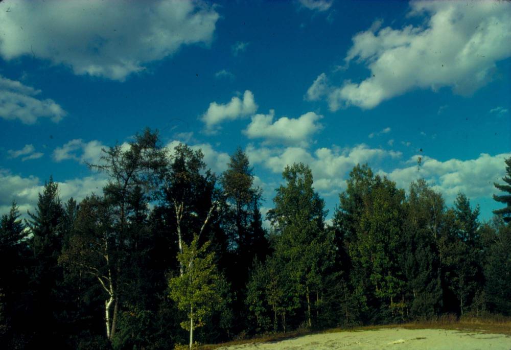 원화랑 전시 및 정찬승 외 지인과 함께 촬영한 슬라이드 필름