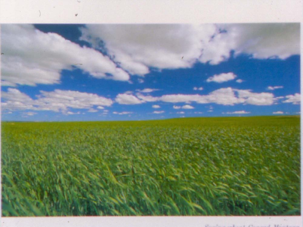 원화랑 전시 및 정찬승 외 지인과 함께 촬영한 슬라이드 필름