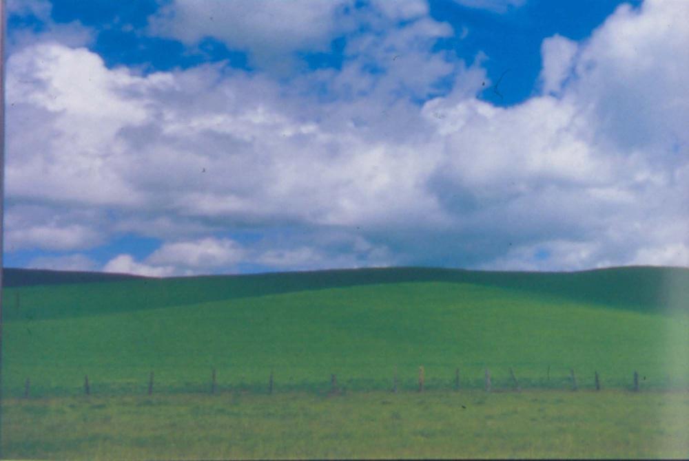 원화랑 전시 및 정찬승 외 지인과 함께 촬영한 슬라이드 필름