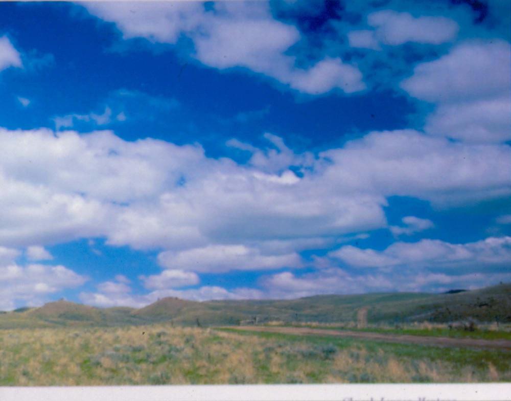 원화랑 전시 및 정찬승 외 지인과 함께 촬영한 슬라이드 필름