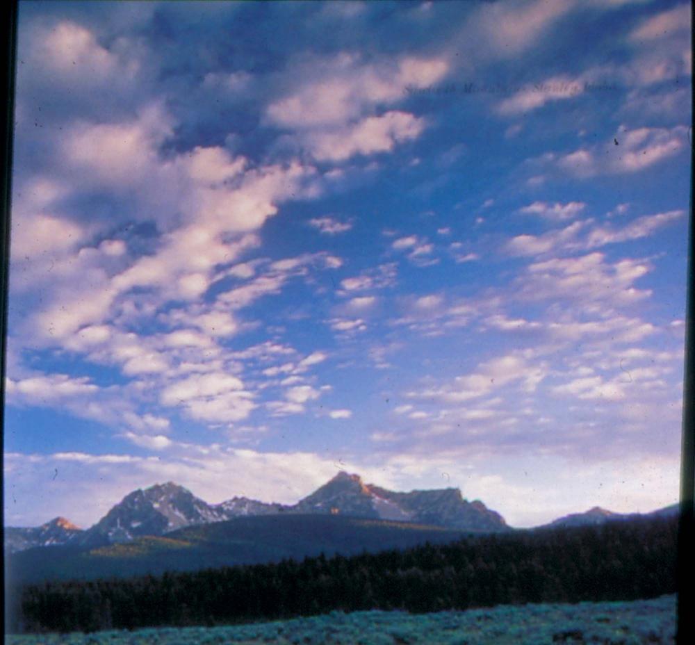 원화랑 전시 및 정찬승 외 지인과 함께 촬영한 슬라이드 필름