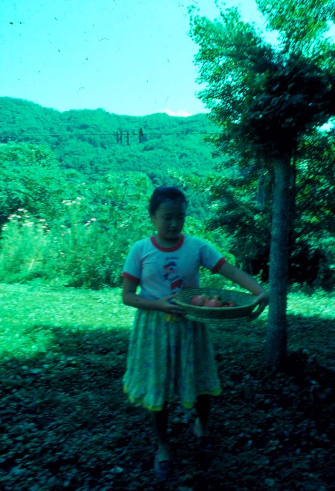 원화랑 전시 및 정찬승 외 지인과 함께 촬영한 슬라이드 필름