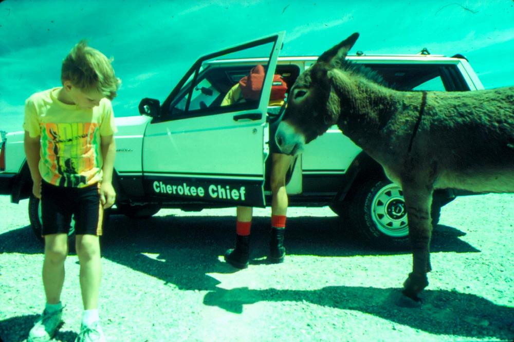 원화랑 전시 및 정찬승 외 지인과 함께 촬영한 슬라이드 필름