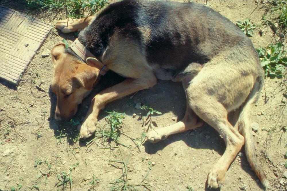 원화랑 전시 및 정찬승 외 지인과 함께 촬영한 슬라이드 필름