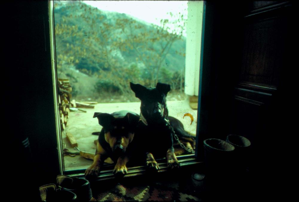 원화랑 전시 및 정찬승 외 지인과 함께 촬영한 슬라이드 필름