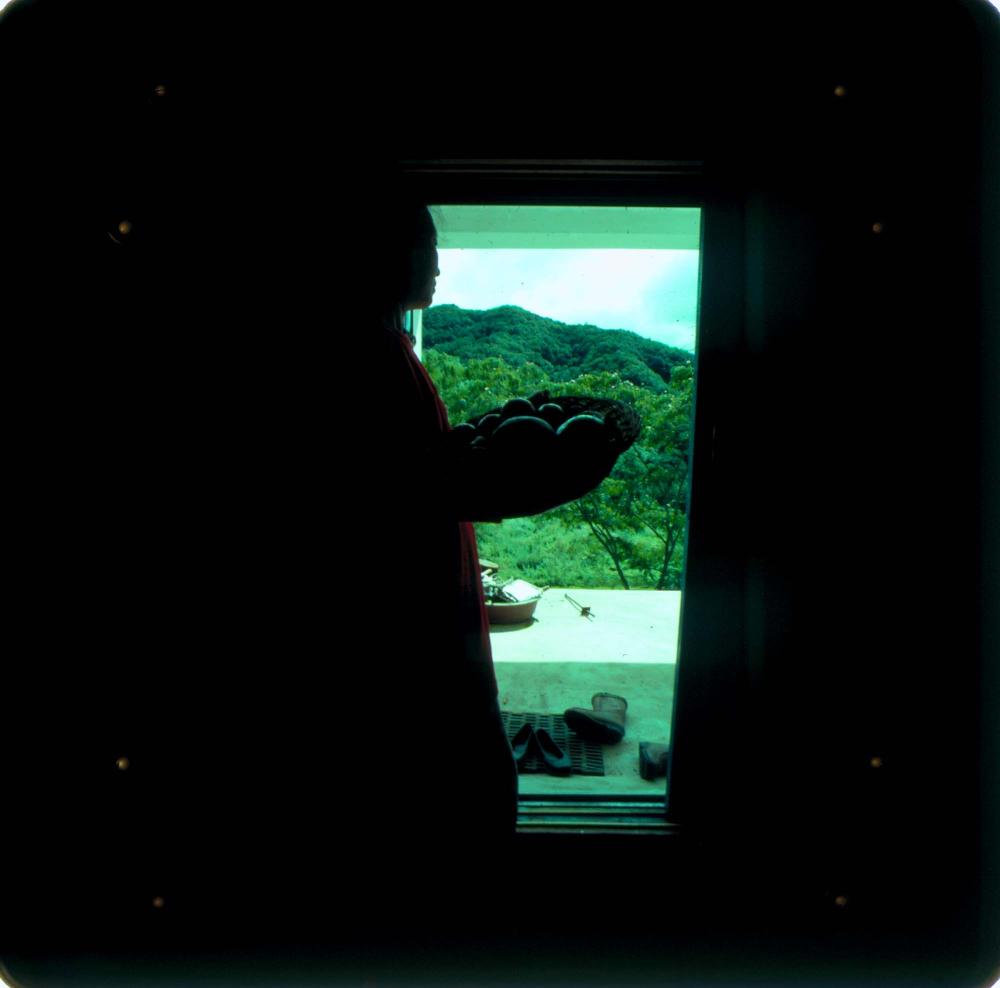 원화랑 전시 및 정찬승 외 지인과 함께 촬영한 슬라이드 필름