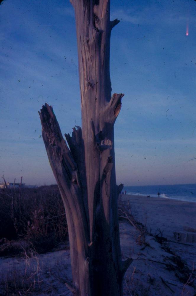 원화랑 전시 및 정찬승 외 지인과 함께 촬영한 슬라이드 필름