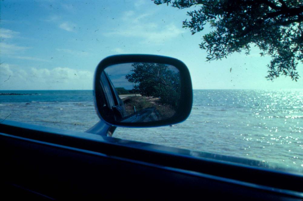 원화랑 전시 및 정찬승 외 지인과 함께 촬영한 슬라이드 필름