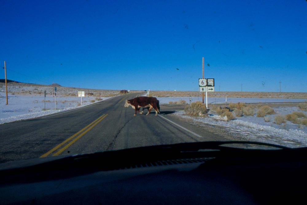 원화랑 전시 및 정찬승 외 지인과 함께 촬영한 슬라이드 필름