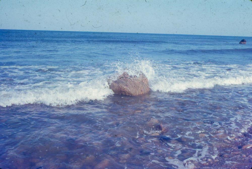 원화랑 전시 및 정찬승 외 지인과 함께 촬영한 슬라이드 필름