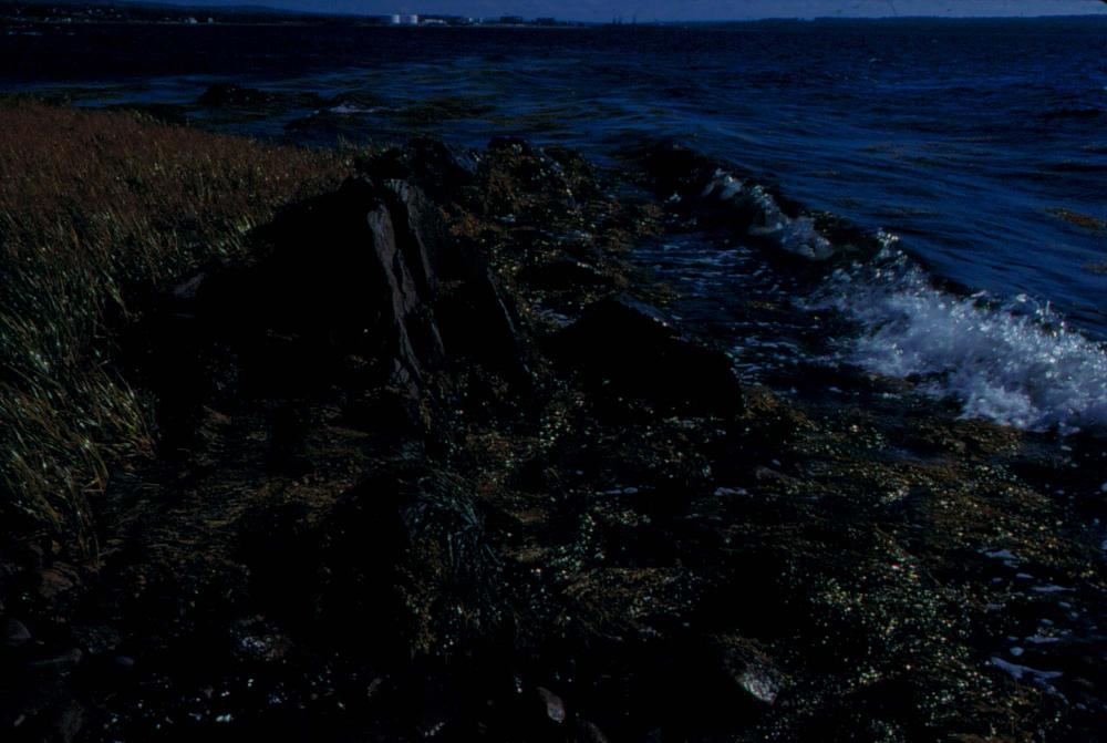 원화랑 전시 및 정찬승 외 지인과 함께 촬영한 슬라이드 필름