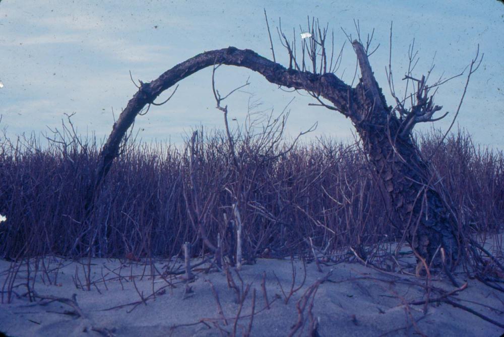 원화랑 전시 및 정찬승 외 지인과 함께 촬영한 슬라이드 필름