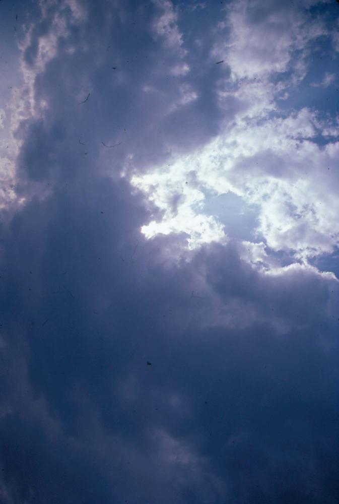 원화랑 전시 및 정찬승 외 지인과 함께 촬영한 슬라이드 필름