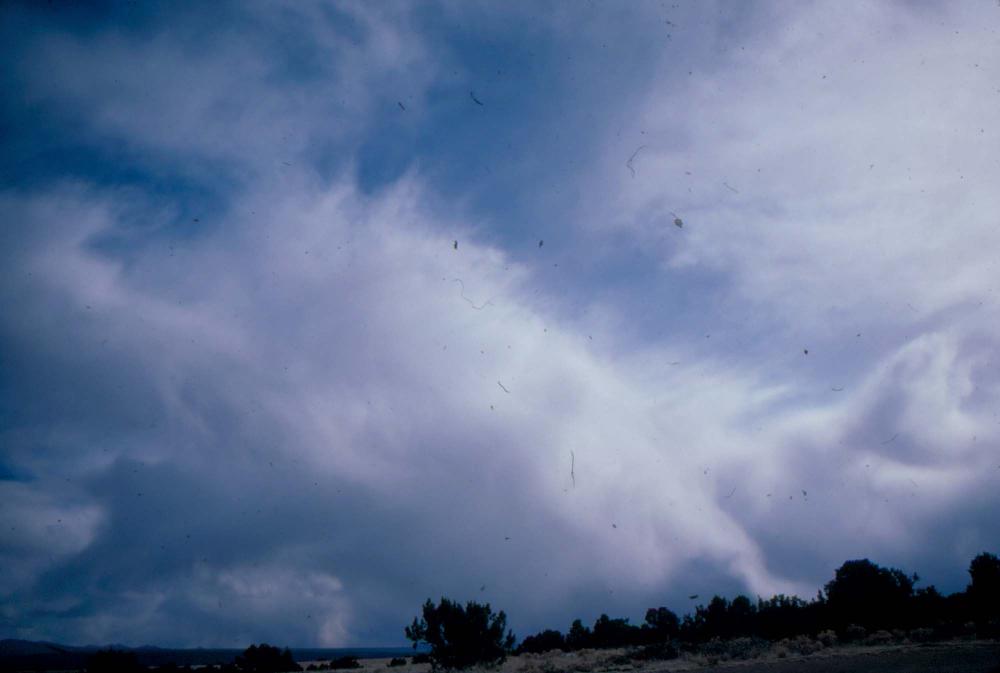 원화랑 전시 및 정찬승 외 지인과 함께 촬영한 슬라이드 필름