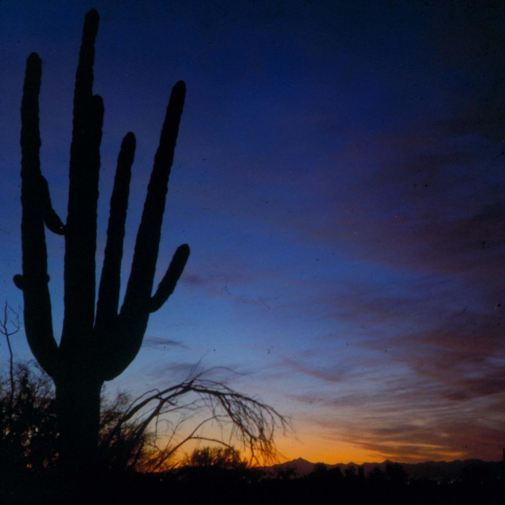원화랑 전시 및 정찬승 외 지인과 함께 촬영한 슬라이드 필름