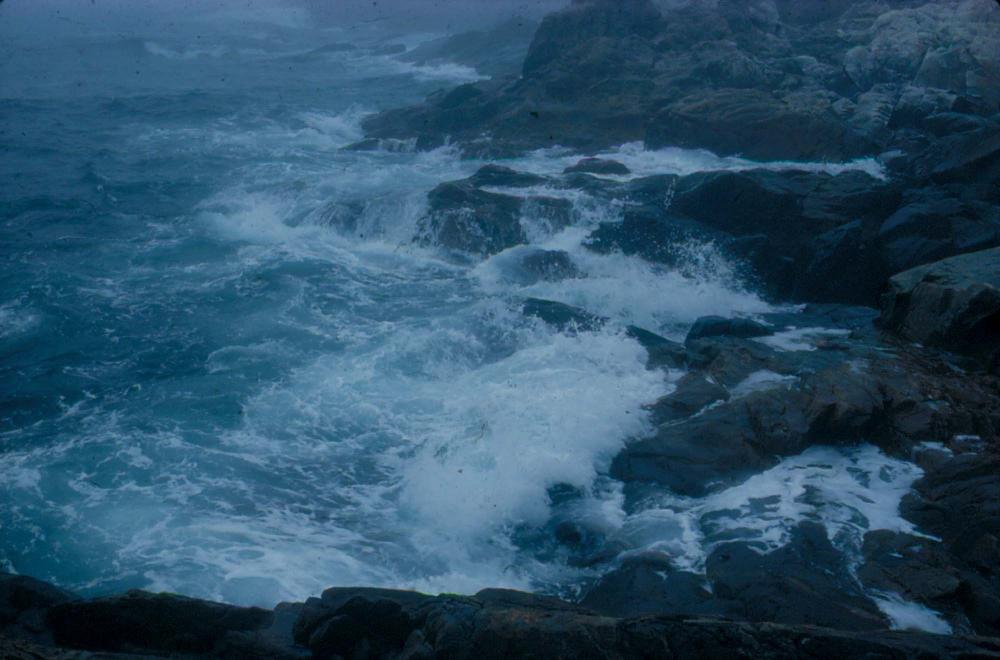 원화랑 전시 및 정찬승 외 지인과 함께 촬영한 슬라이드 필름