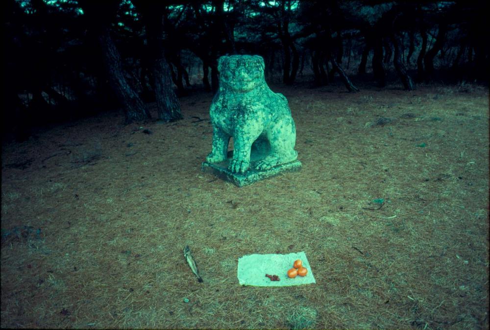 내평리 및 경주, 화각 여행 슬라이드 필름