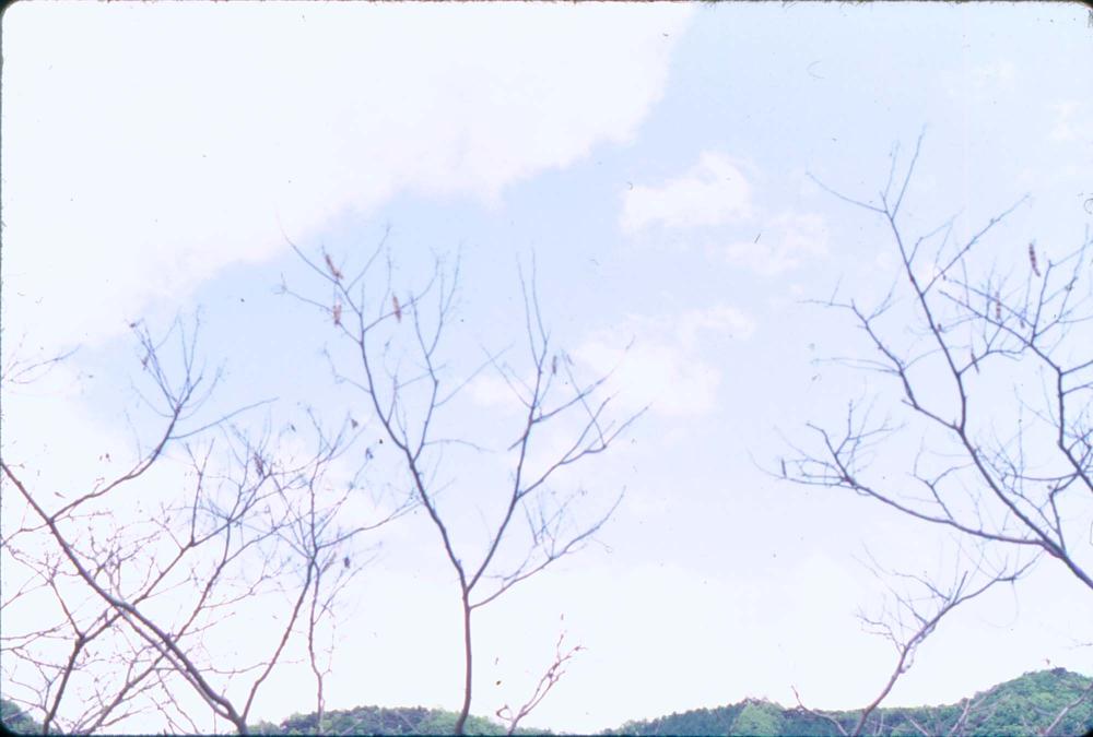 내평리 및 경주, 화각 여행 슬라이드 필름