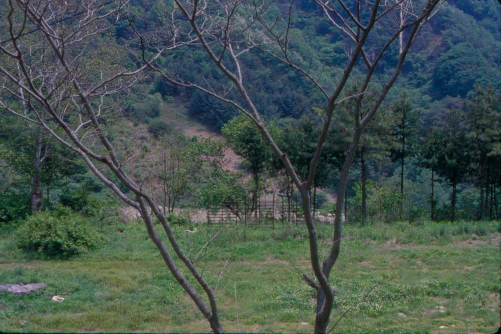 내평리 및 경주, 화각 여행 슬라이드 필름