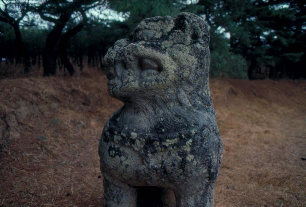 김차섭 한국 사진(유관순 벽화, 효당, 경주 등) 슬라이드 필름 2