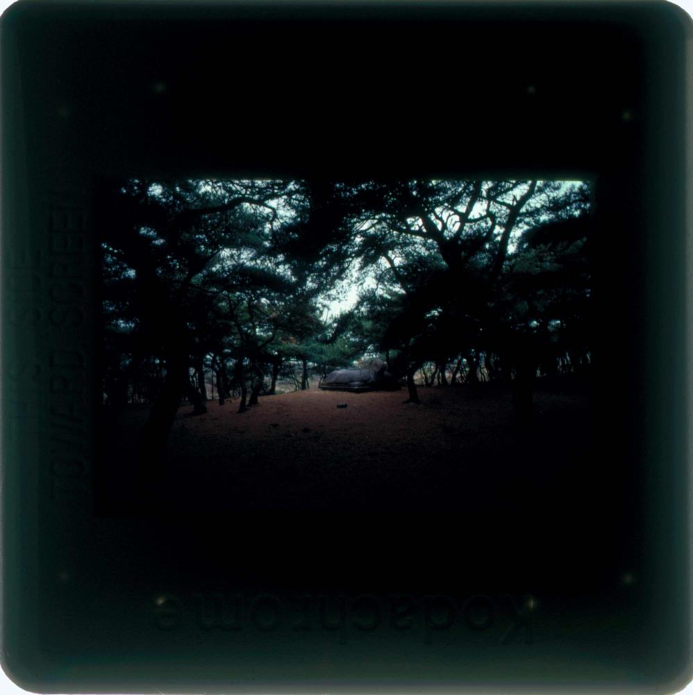 김차섭 한국 사진(유관순 벽화, 효당, 경주 등) 슬라이드 필름 5