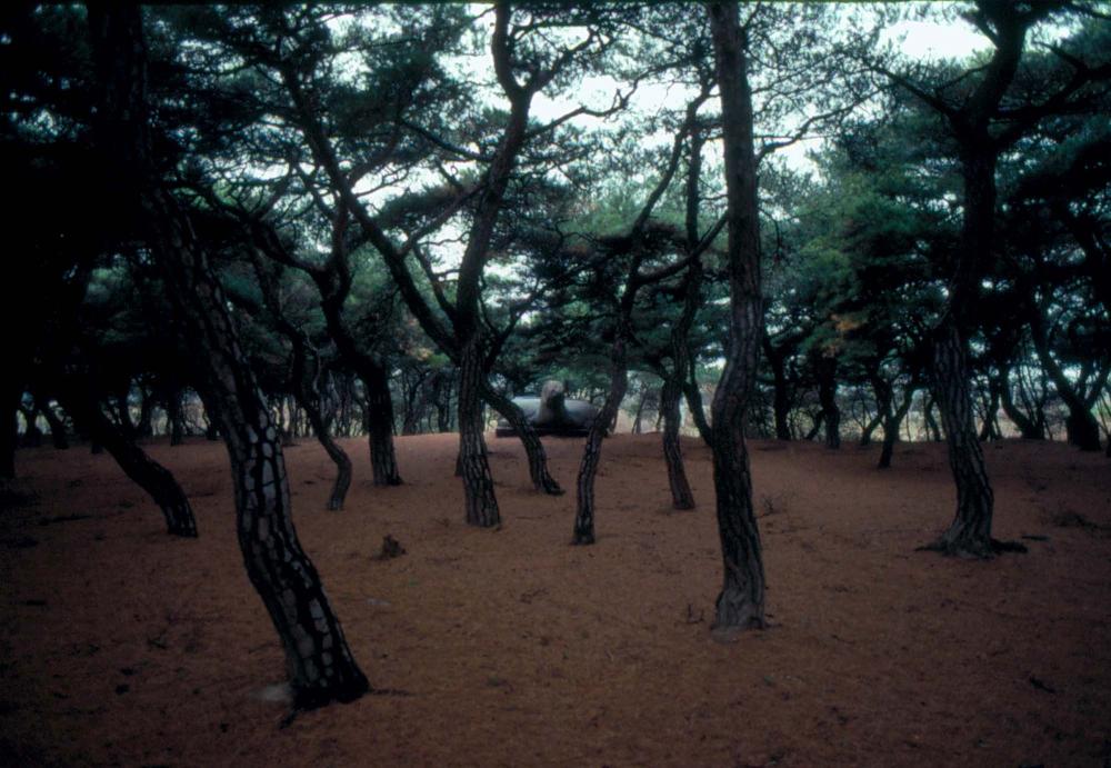 김차섭 한국 사진(유관순 벽화, 효당, 경주 등) 슬라이드 필름 7