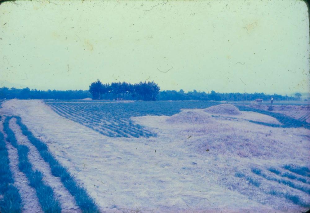 김차섭 한국 사진(유관순 벽화, 효당, 경주 등) 슬라이드 필름