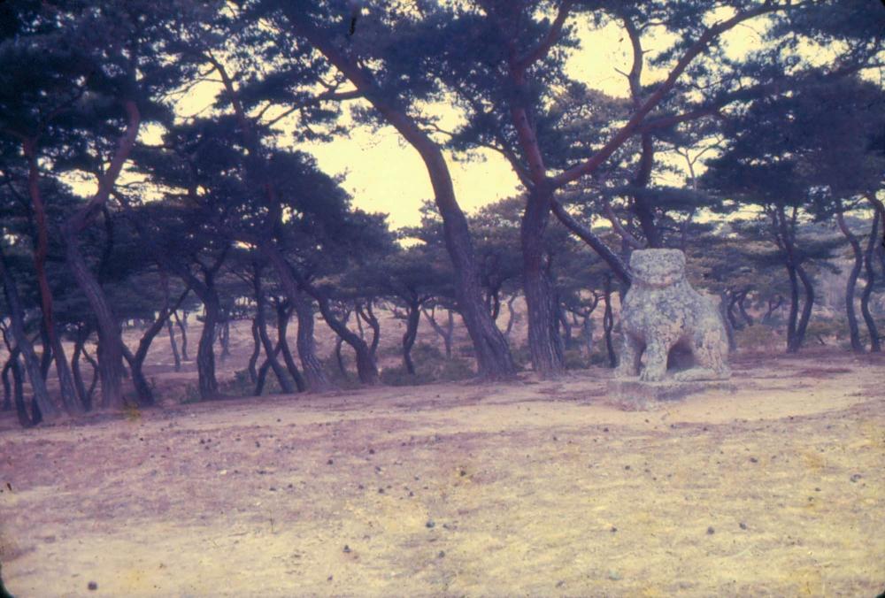 김차섭 한국 사진(유관순 벽화, 효당, 경주 등) 슬라이드 필름