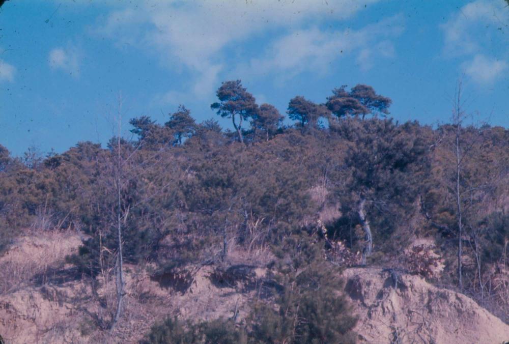 김차섭 한국 사진(유관순 벽화, 효당, 경주 등) 슬라이드 필름