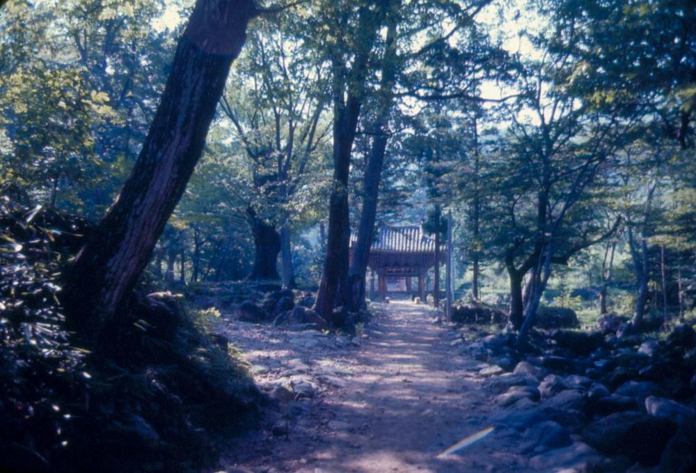 김차섭 한국 사진(유관순 벽화, 효당, 경주 등) 슬라이드 필름