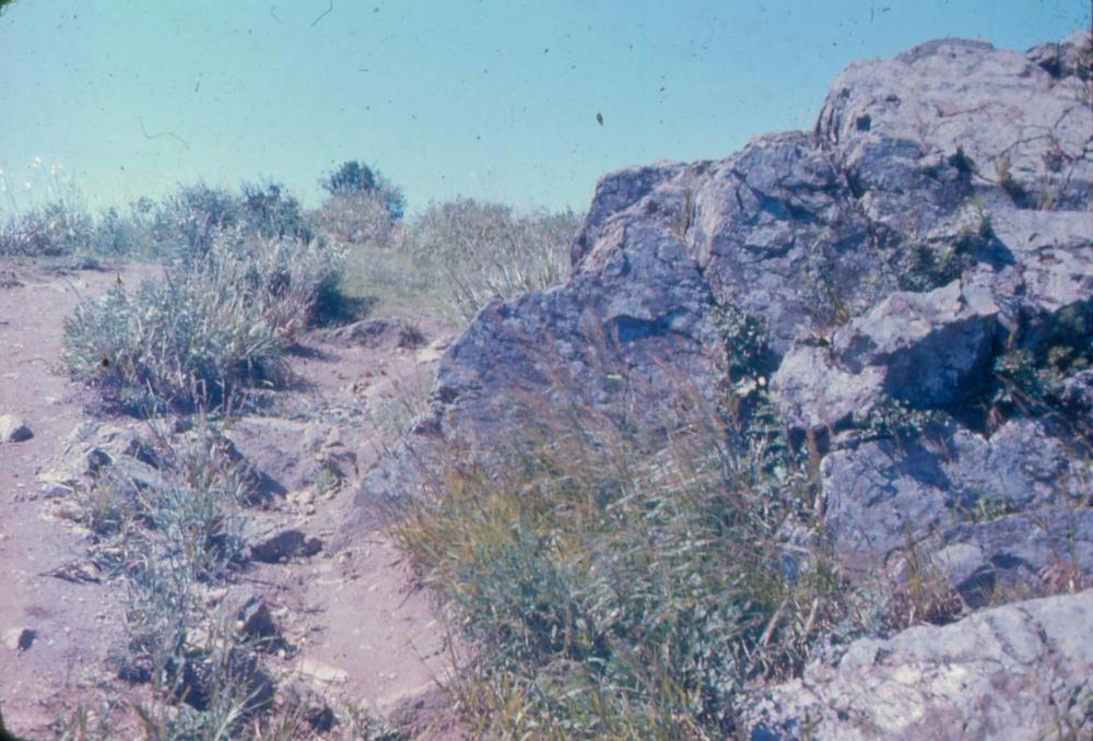 김차섭 한국 사진(유관순 벽화, 효당, 경주 등) 슬라이드 필름