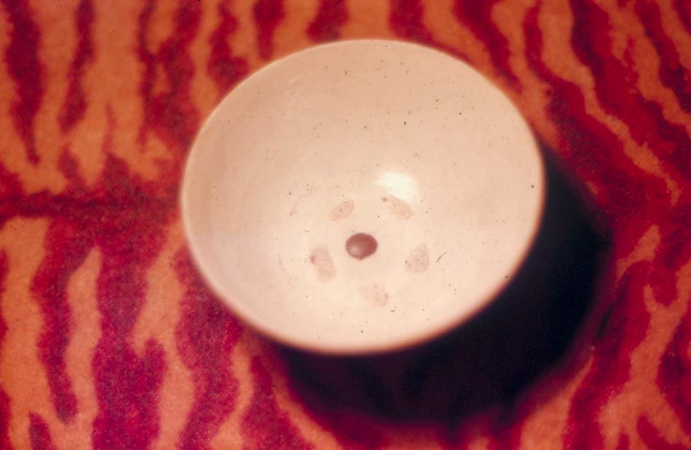 김차섭 한국 사진(유관순 벽화, 효당, 경주 등) 슬라이드 필름