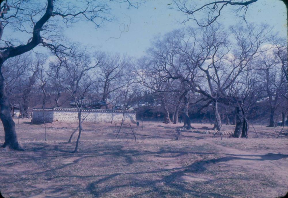 김차섭 한국 사진(유관순 벽화, 효당, 경주 등) 슬라이드 필름