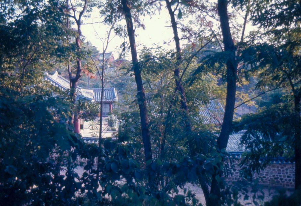 김차섭 한국 사진(유관순 벽화, 효당, 경주 등) 슬라이드 필름