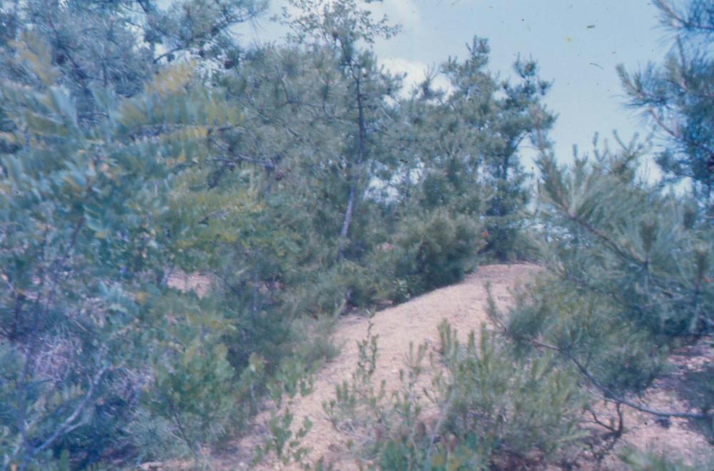 김차섭 한국 사진(유관순 벽화, 효당, 경주 등) 슬라이드 필름